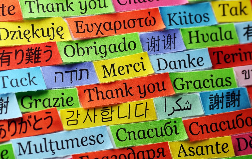 Image result for world languages